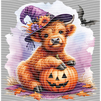 Halloween-WS 5735